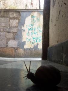 563405_10151877110080048_1805448981_n